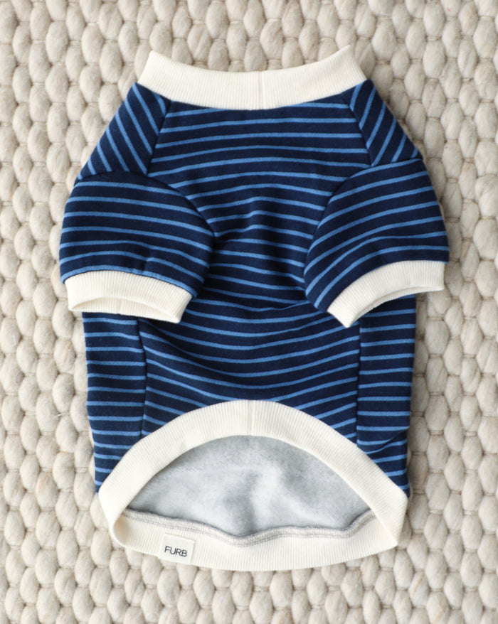 Blue striped dog sweatshirt in cozy French terry cotton with ivory cuffs, collar and hem for small to medium breed dogs
