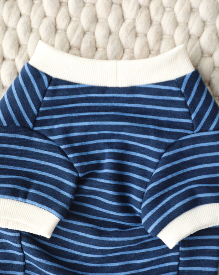 Preppy blue striped dog sweatshirt with soft cotton fabric and comfortable ribbed trim for small to medium breed dogs