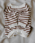 Camden Brown Striped Crewneck Product Image Detail bichon frise sweatshirt