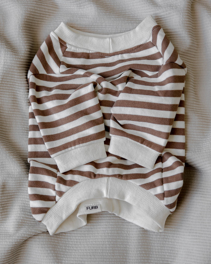 Camden Brown Striped Crewneck Product Image Detail bichon frise sweatshirt
