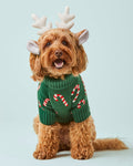 Green candy cane holiday sweater for dogs with cheerful stripes, cozy for everyday wear, great for pugs, French bulldogs, and toy breeds
