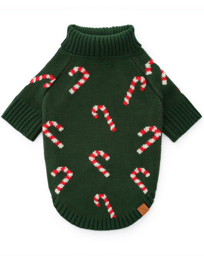 Playful green striped dog sweater for festive occasions, soft and comfortable, perfect for dachshunds, cavapoos, and beagles