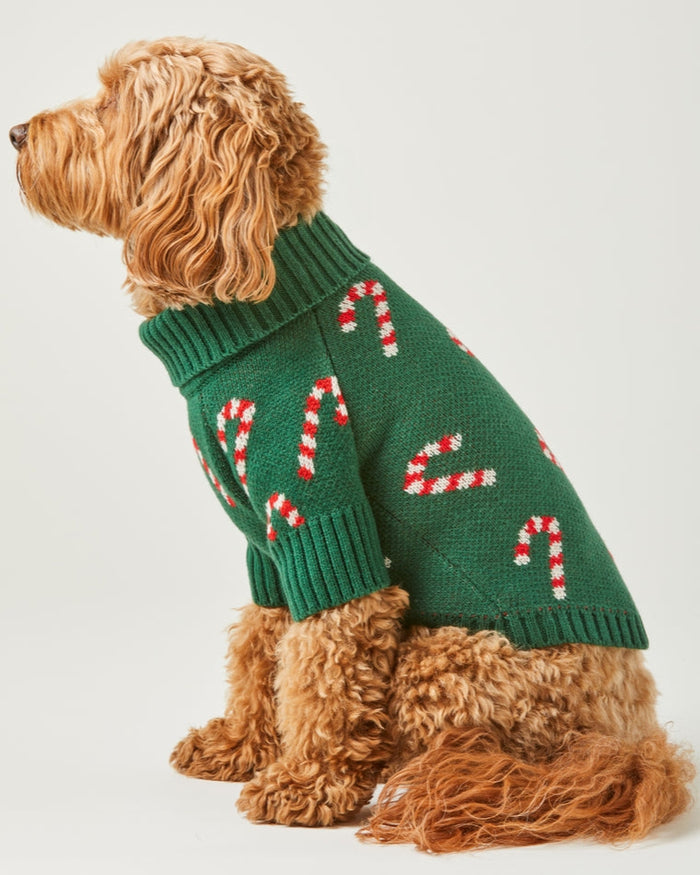 Classic green candy stripe dog sweater designed for warmth and playful winter style, ideal for shih tzus, Frenchies, and small spaniels