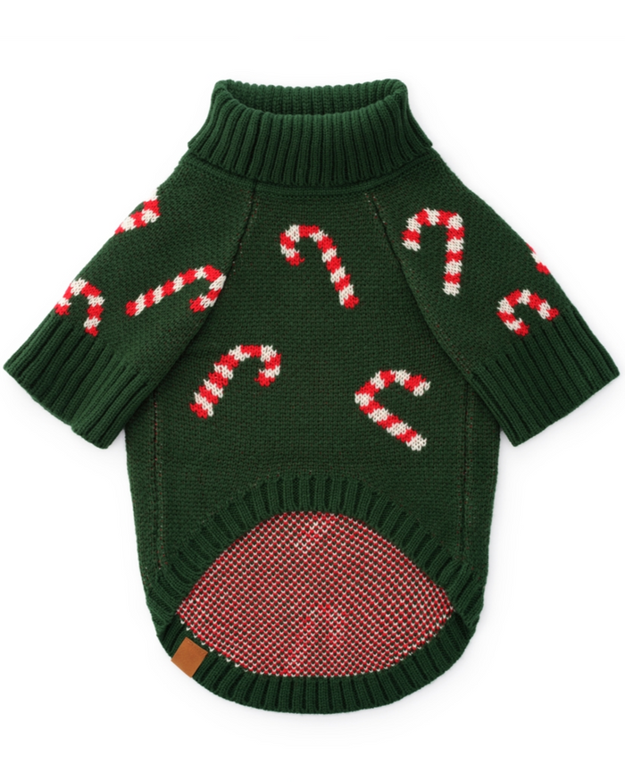 Soft festive knit dog sweater in green and white stripes, cozy yet flexible for everyday wear, perfect for poodles, cavapoos, and companion breeds