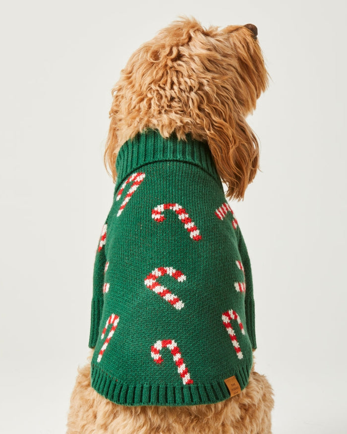 Holiday green striped sweater for dogs, lightweight knit with cheerful styling, great for beagles, shih tzus, and French bulldogs