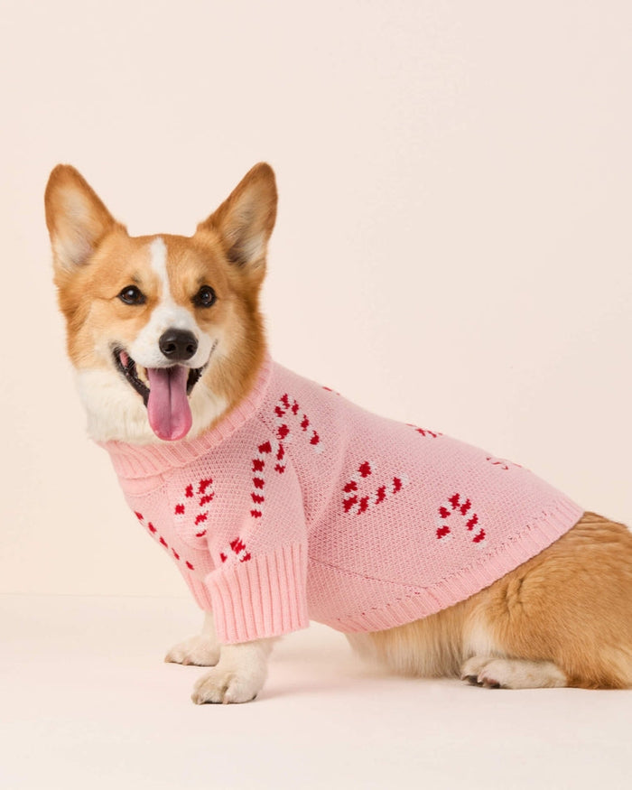 Festive pink knit dog sweater combining style and comfort, lightweight yet warm, perfect for shih tzus, beagles, and Frenchies