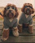 charcoal dog sweatshirt color block fleece front view