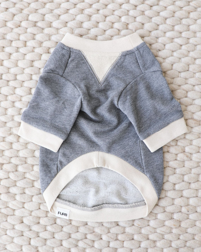 Cozy charcoal dog sweatshirt for small to medium dogs, perfect for fall walks and layering.