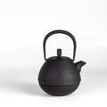 Medium Nambu Tetsu Cast Iron Teapot called Egg from Kukan Chuzo in Japan.