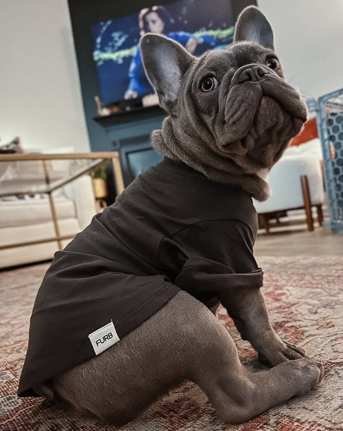 A perfect layering piece, this tee has a soft, vintage feel; airy and worn in, like it's been passed down from pup generation to pup generation. Layer with a cute vest or under a button-up for a look that says: "I may be a dog, but I know fashion." t shirts for french bulldogs