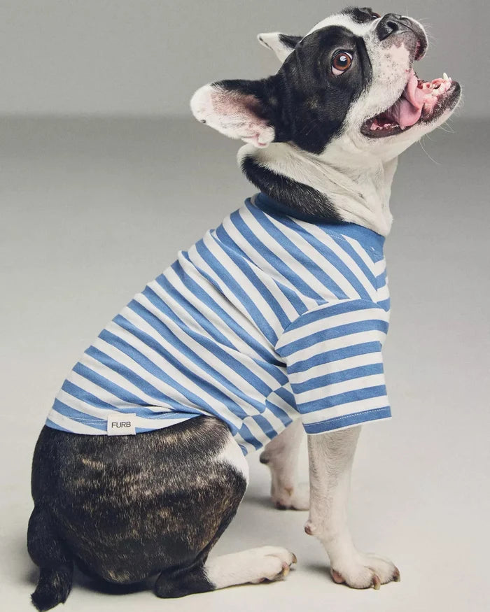 Casual Cutie Blue + White Dog T-Shirt