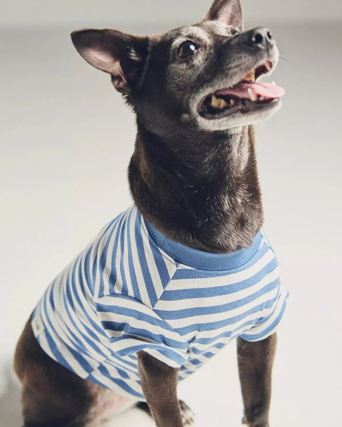 Casual Cutie Blue + White Dog T-Shirt