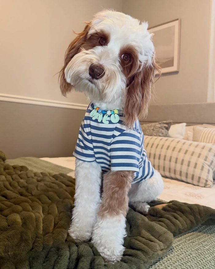 Casual Cutie Blue + White Dog T-Shirt