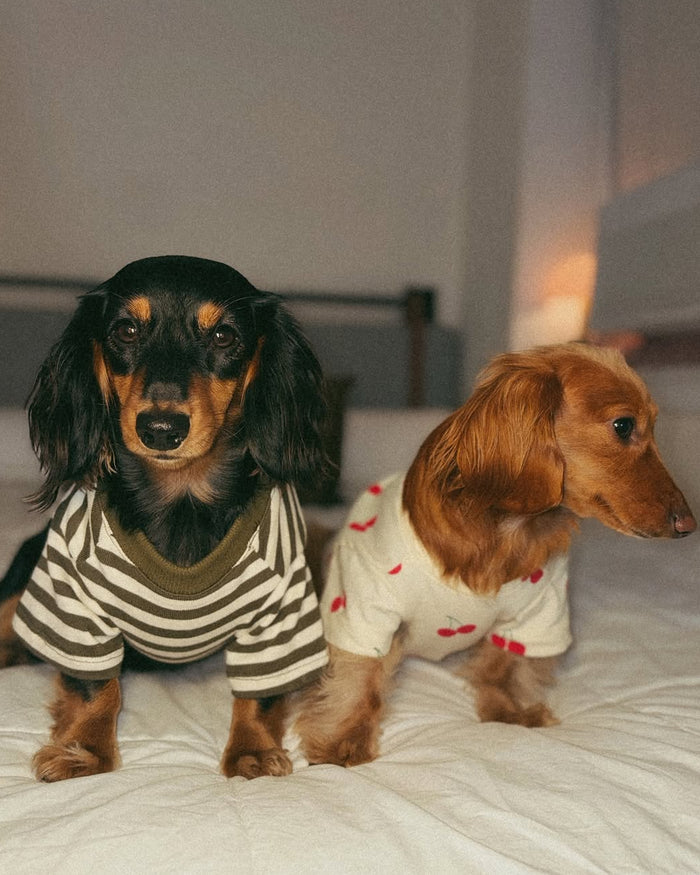 Casual Cutie Cherry Dog T-Shirt