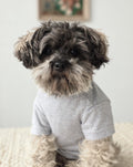 Casual Cutie grey relaxed fit dog t-shirt with soft breathable fabric, perfect for everyday wear on French Bulldogs, Pugs, Dachshunds, and small dogs