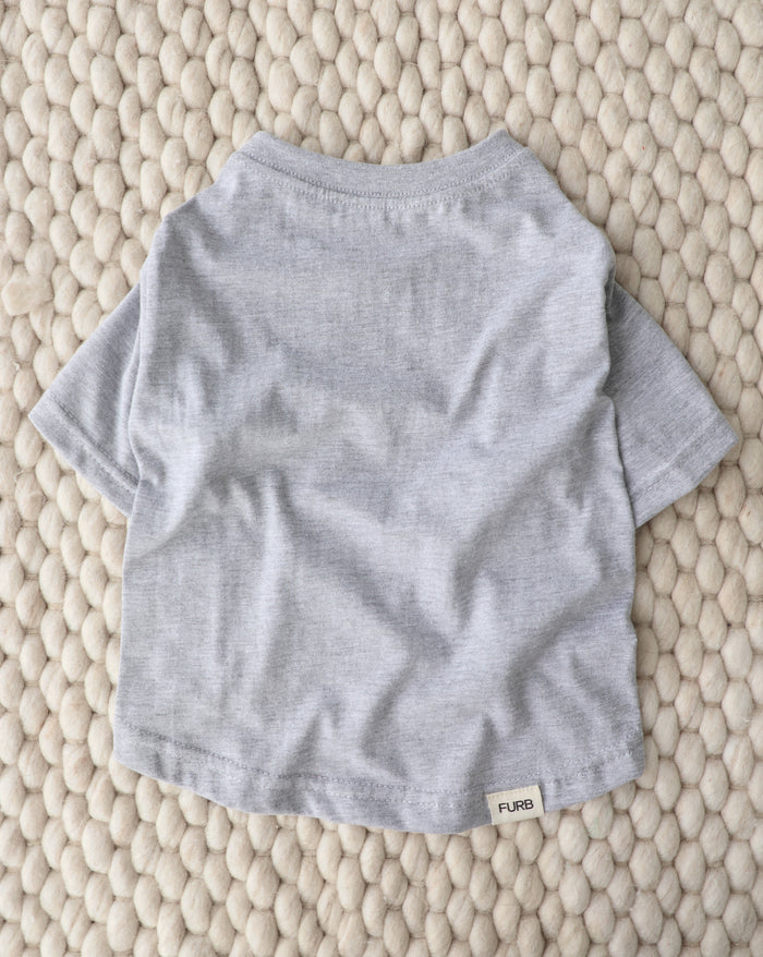 Grey relaxed dog tee designed for comfort and movement, ideal for Boston Terriers, Mini Aussies, Cavaliers, Beagles, and active small breeds