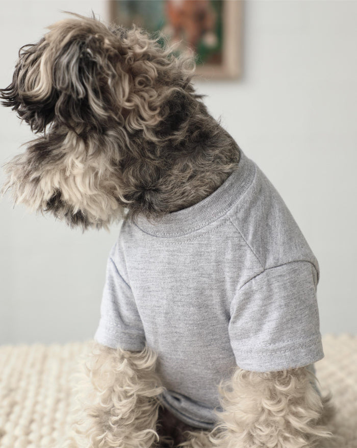 Soft grey dog t-shirt perfect for casual daily outfits, lightweight fit great for Frenchies, Corgis, Mini Poodles, and small to medium dogs
