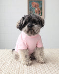 Casual Cutie Pink Relaxed Dog T-Shirt, comfy and playful for Pugs, Cocker Spaniels, and Mini Schnauzers during everyday adventures.