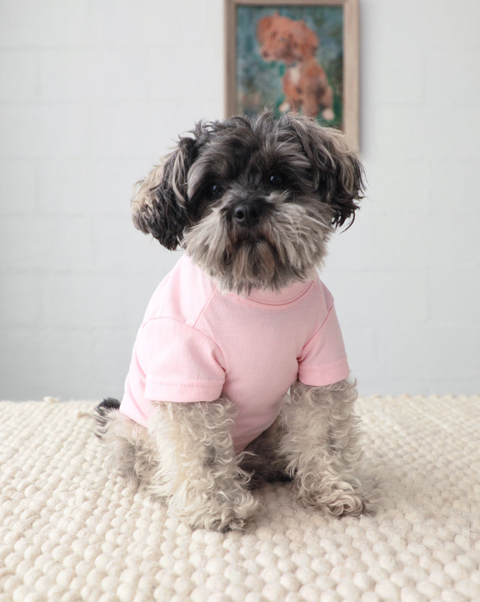 Casual Cutie Pink Relaxed Dog T-Shirt, comfy and playful for Pugs, Cocker Spaniels, and Mini Schnauzers during everyday adventures.