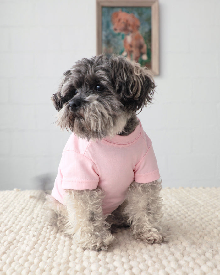 Casual pink dog tee for Pomeranians, Mini Aussies, and French Bulldogs. Perfect for everyday comfort and style.