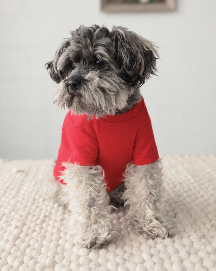 red relaxed dog t shirt for dogs soft cotton casual dog apparel