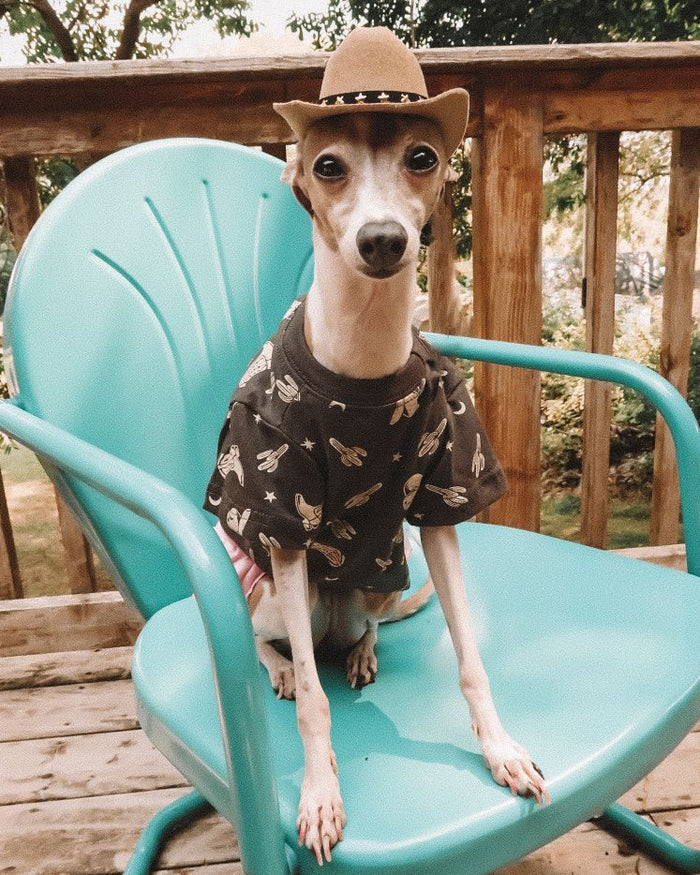Casual Cutie Rodeo Dog T-Shirt dog t-shirt for everyday style, rodeo