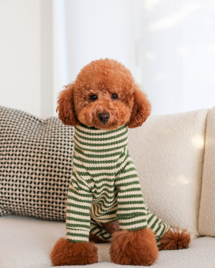 Cozy green striped dog sweater onesie designed for comfortable coverage and easy everyday wear on small to medium breed dogs