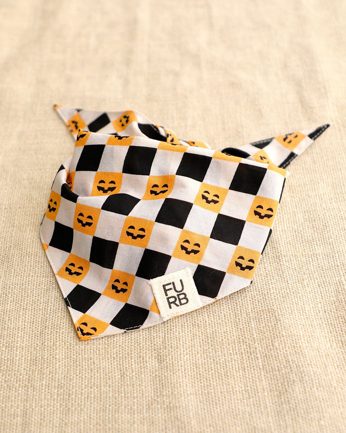 Check-or-Treat Pumpkin Bandana dog bandana with check checkerboard pumpkin