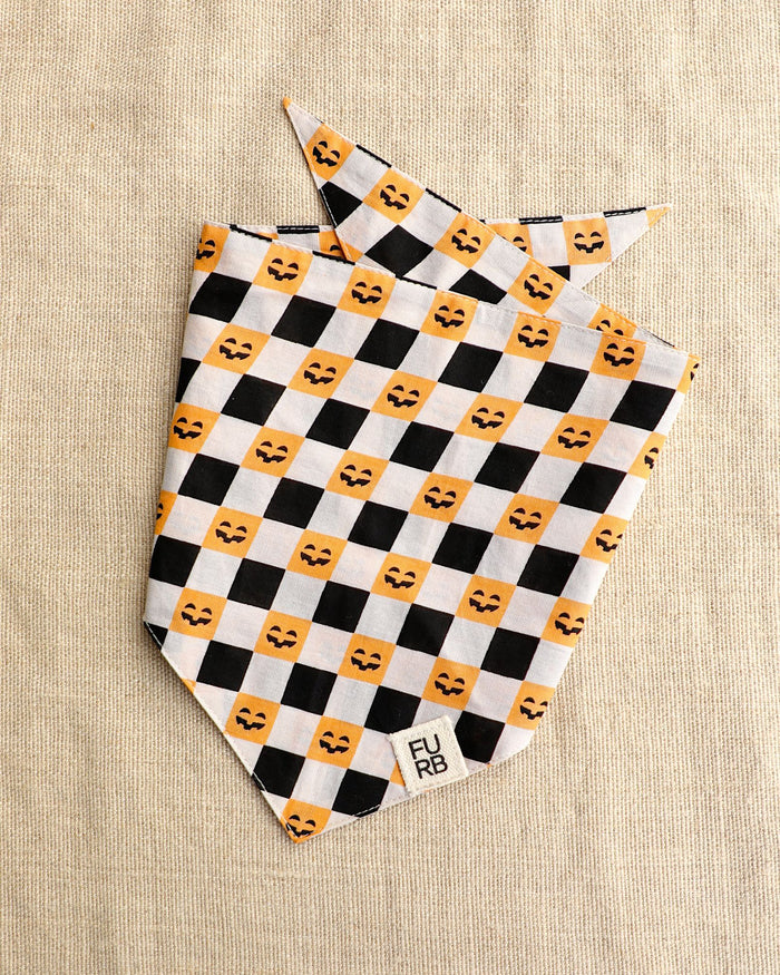Check-or-Treat Pumpkin Bandana – stylish dog bandana in check