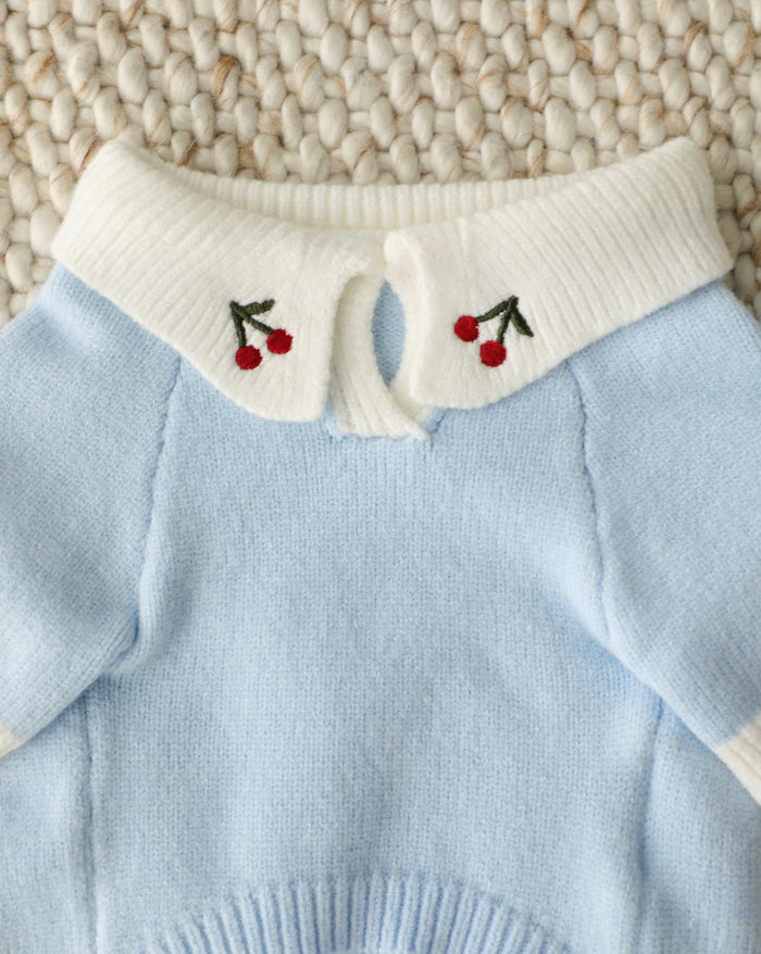 light blue cherry dog sweater lifestyle shot cute dog wearing knit polo sweater with cherry design