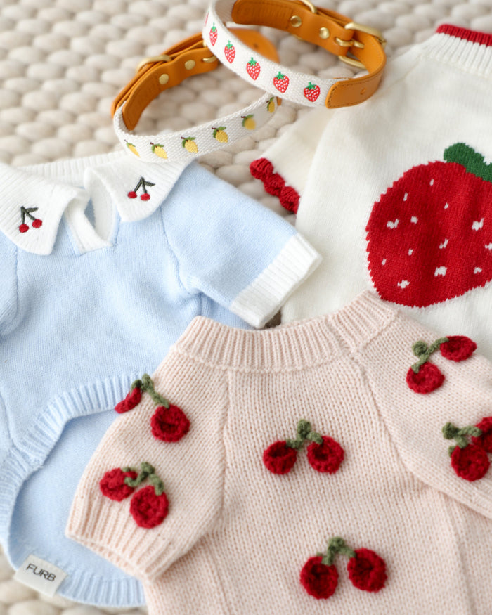 light blue knit dog sweater cherry accent collar stylish seasonal dog clothing for small to medium dogs