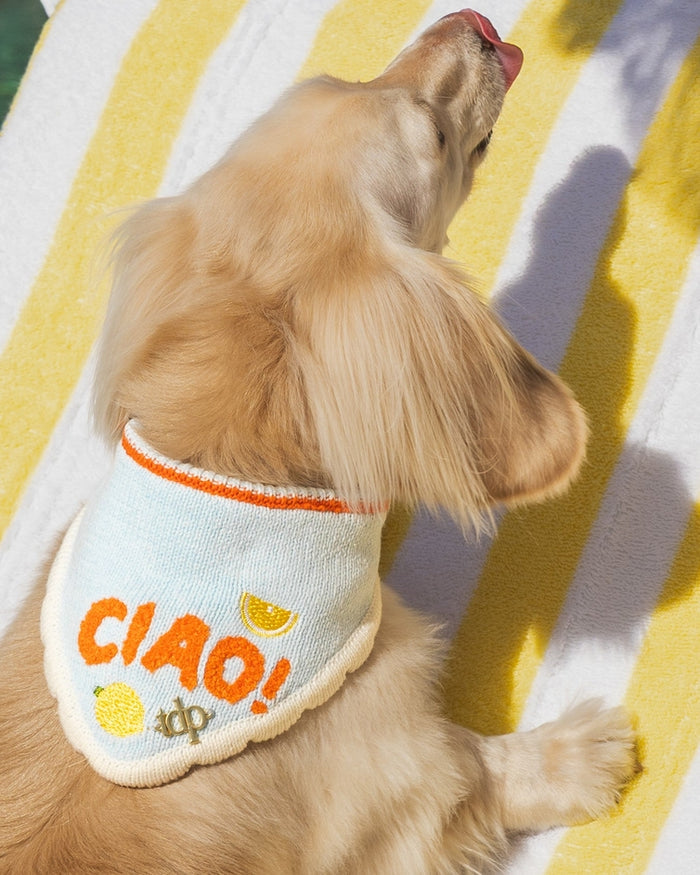 Modern Italian-inspired dog scarf accessory with soft breathable everyday comfort. Updated May 2026.