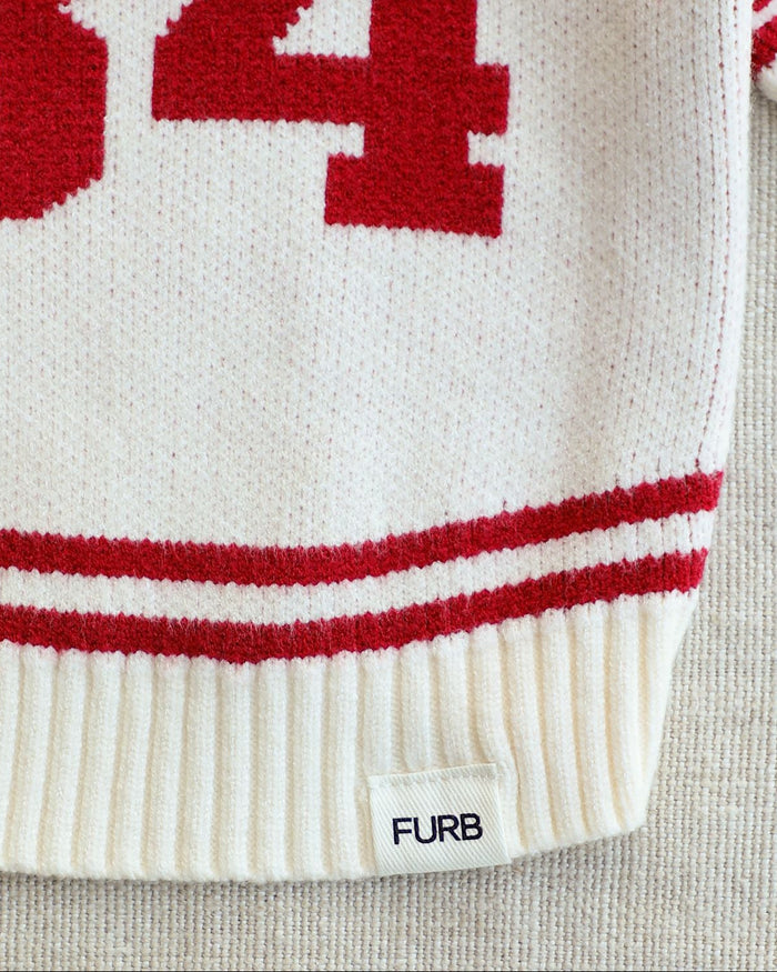 City Babe NY '84 Dog Sweater dog sweater for everyday style, striped