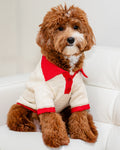 Collar Me Maybe Red + Ivory Polo Sweater, soft lightweight slub knit dog sweater with classic polo collar for small to medium breed dogs