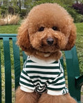 Cooper Green + Ivory Striped Dog Sweatshirt