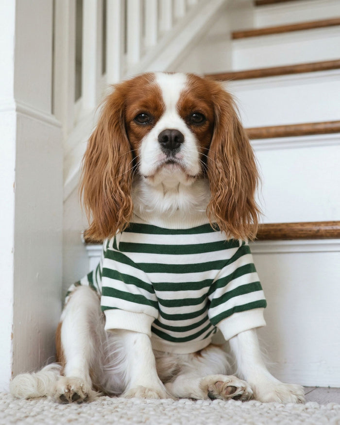 Green striped dog sweatshirt with soft fleece fabric, cozy crewneck pet apparel for everyday wear