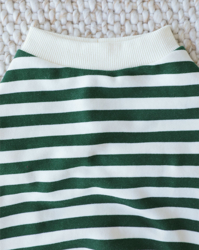 modern dog sweatshirt with green and ivory stripes, soft fleece apparel for cozy pet outfits