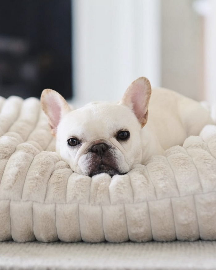 Coronado Ivory Faux Fur Dog Bed, Cover Only