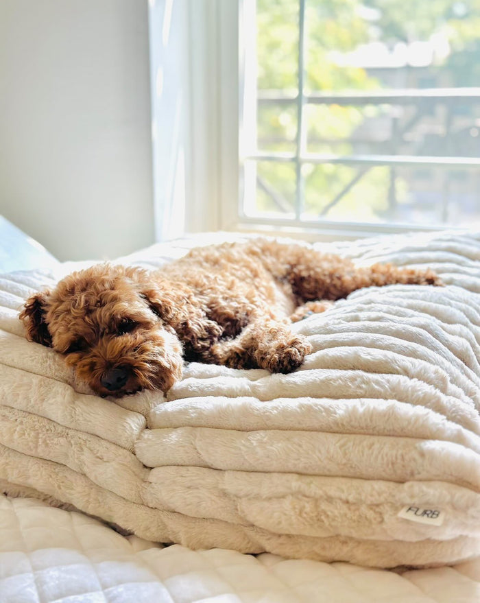 Coronado Ivory Faux Fur Dog Bed, Cover Only