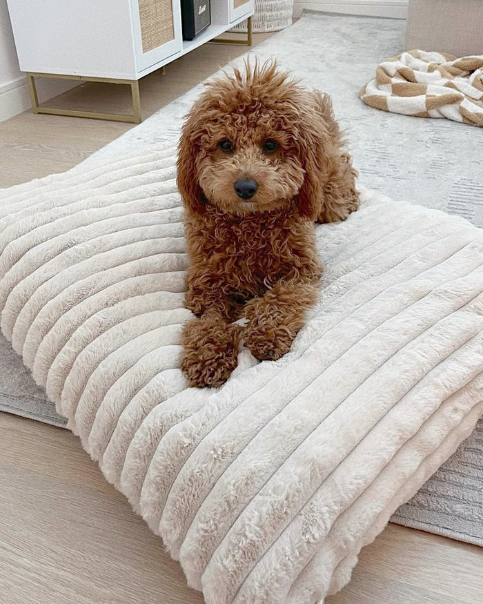 Coronado Ivory Faux Fur Dog Bed, Cover Only