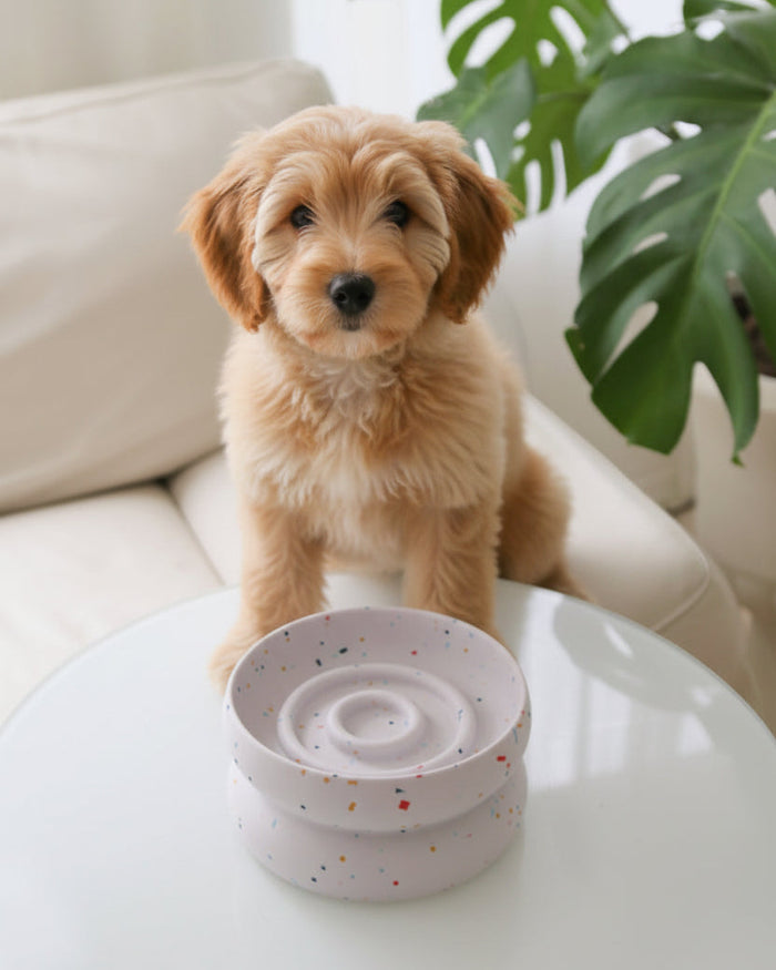 slow feeder dog bowl top view textured feeding pattern anti gulp pet bowl modern design