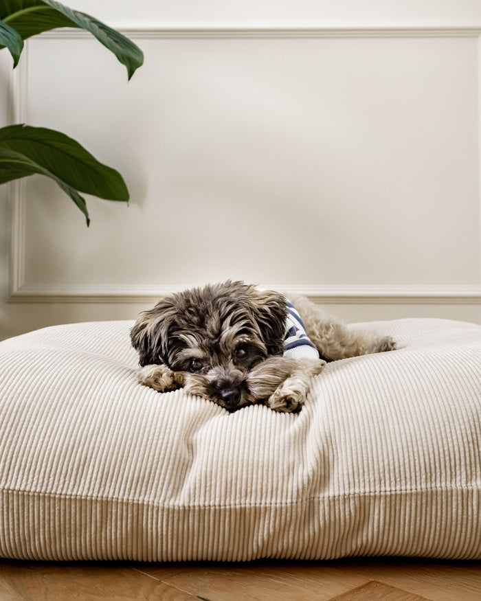 Disco Nap Cream Corduroy Bed Product Image