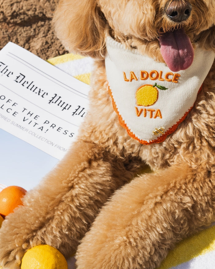 Stylish Italian-inspired dog bandana with soft breathable fabric and elegant everyday pet fashion design. Updated May 2026.