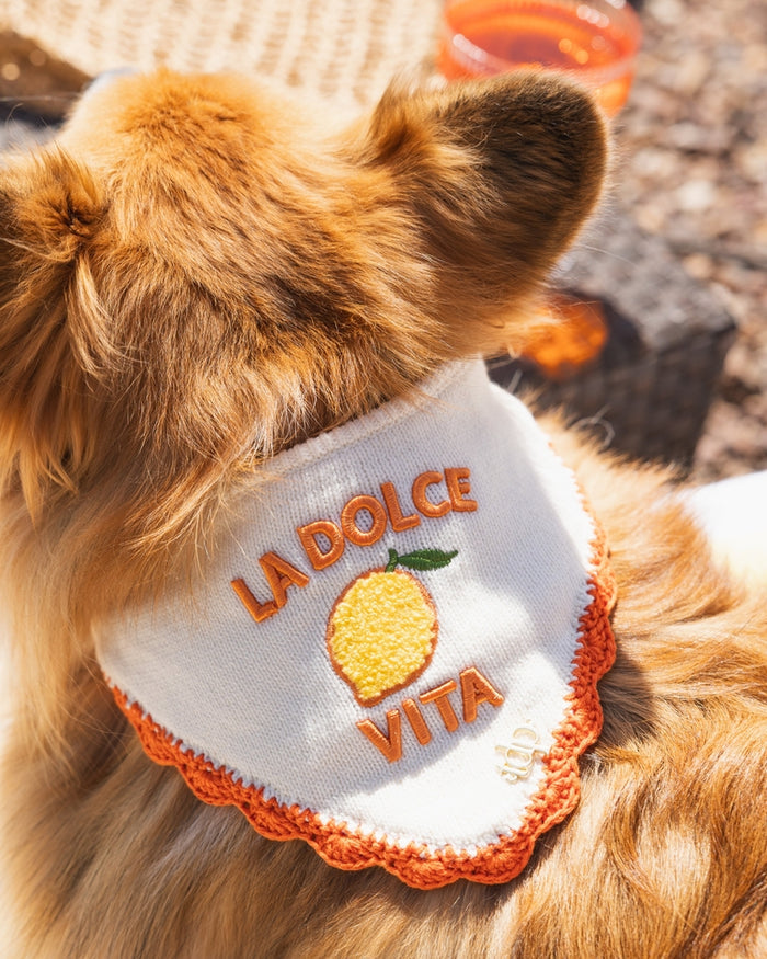 Soft breathable pet bandana with chic minimal design ideal for stylish daily dog outfits. Updated May 2026.