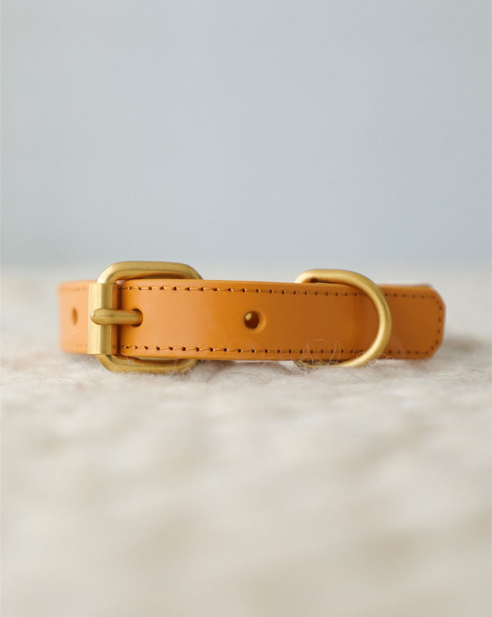 Pink embroidered dog collar with playful summer icons, durable and comfortable for everyday wear