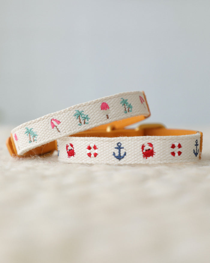 Lightweight summer dog collar with cotton webbing and brass hardware, stylish accessory for small to medium dogs