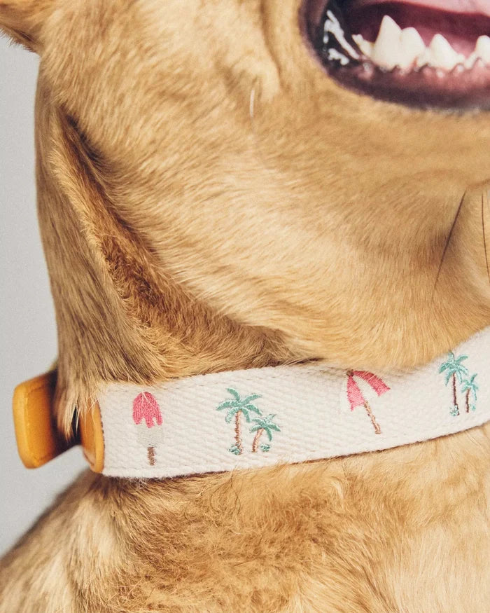 Endless Summer Embroidered Dog Collar