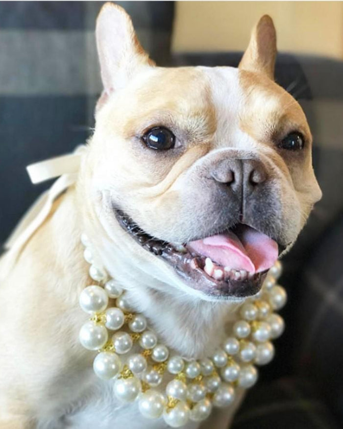 pearl layered dog necklace luxury pearl dog necklace