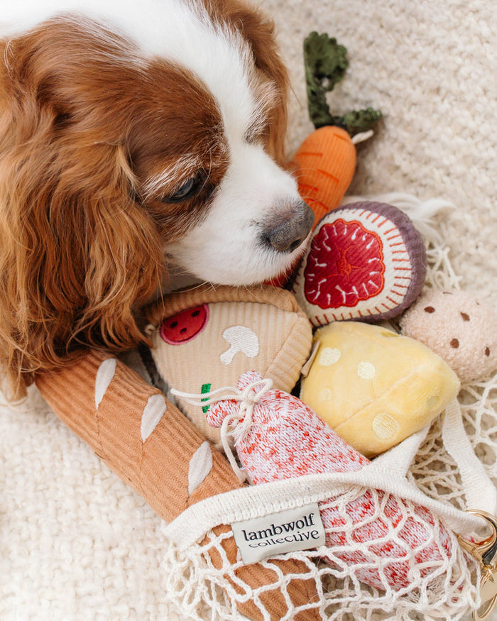 interactive mini dog toys set with mixed textures and squeakers, playful enrichment toys for small dogs