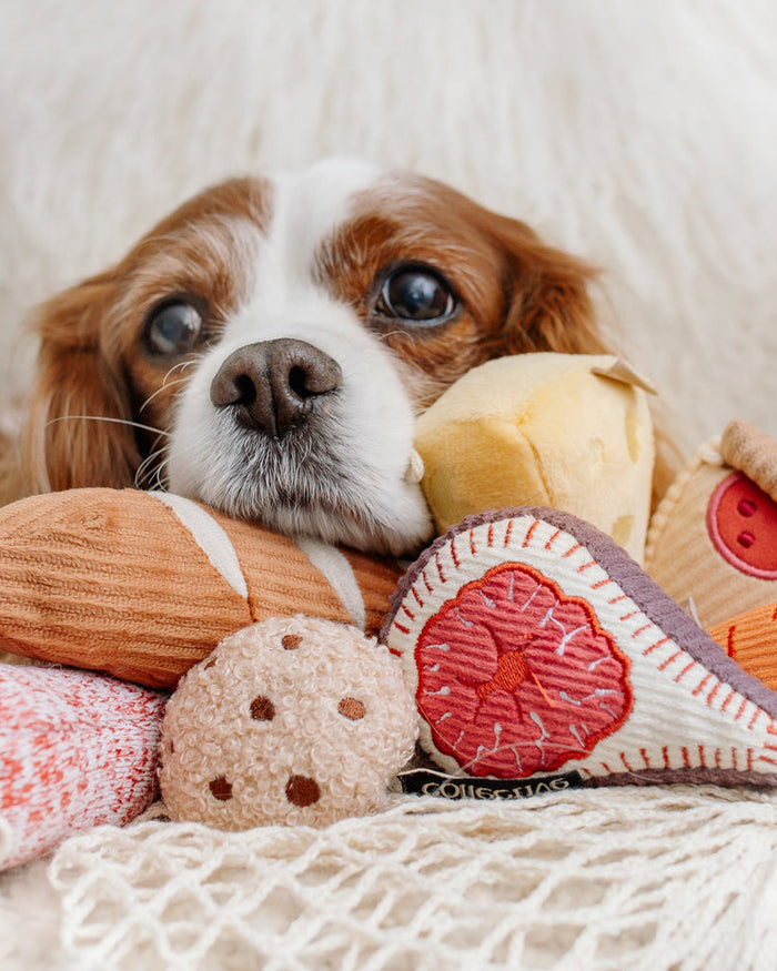 small dog toy set with reusable tote and squeaky plush pieces, enrichment toys for interactive playtime